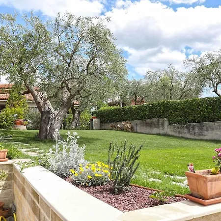 Antonietta * Calcinelli